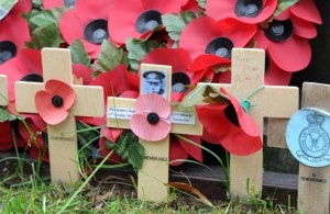 Poppies on memorial at Wootton Bassett