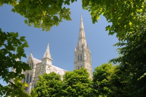 Salisbury Cathedral surrounded by leaves