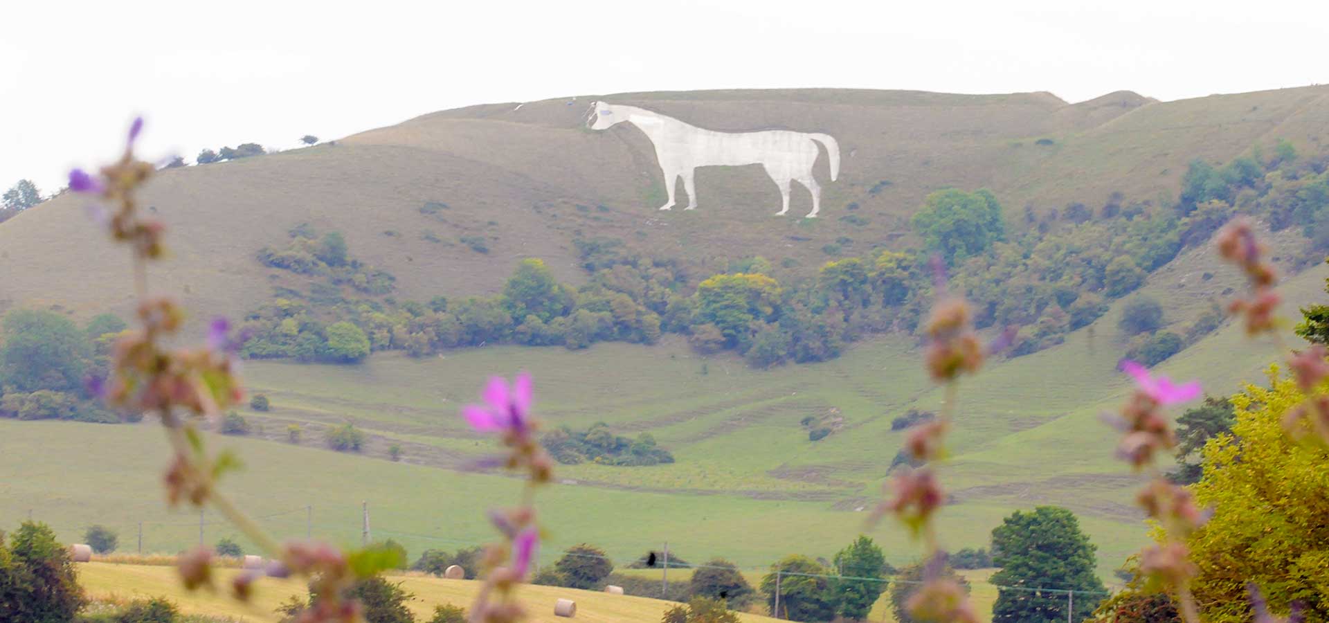 Wiltshire White Horses insidewiltshire
