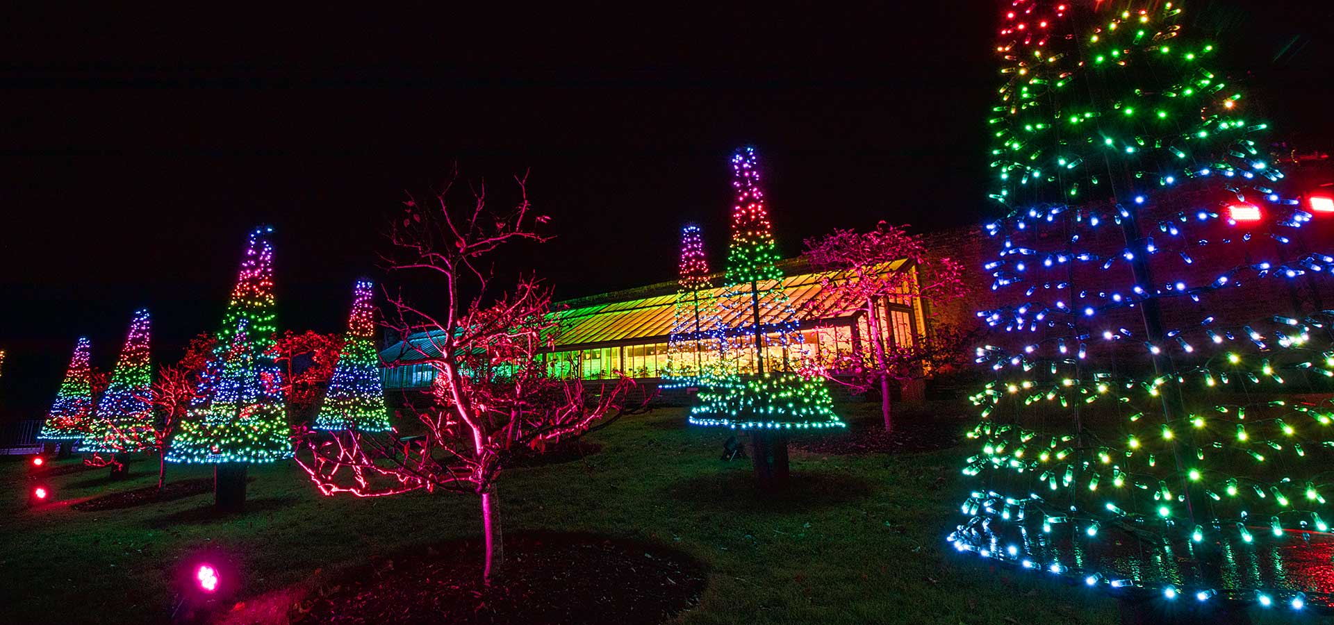 Photos of Christmas at Stourhead 2022 insidewiltshire
