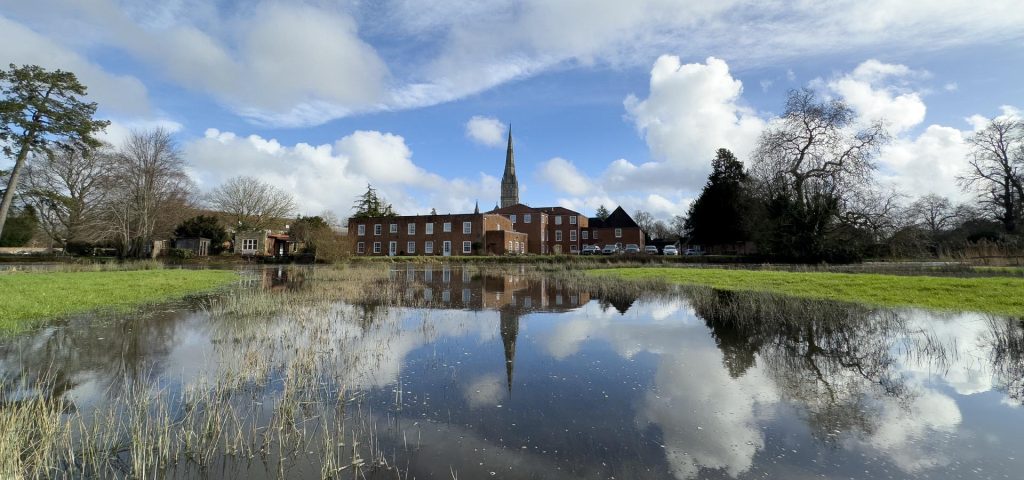 Harnham Water Meadows looking across to Salisbury Cathedral